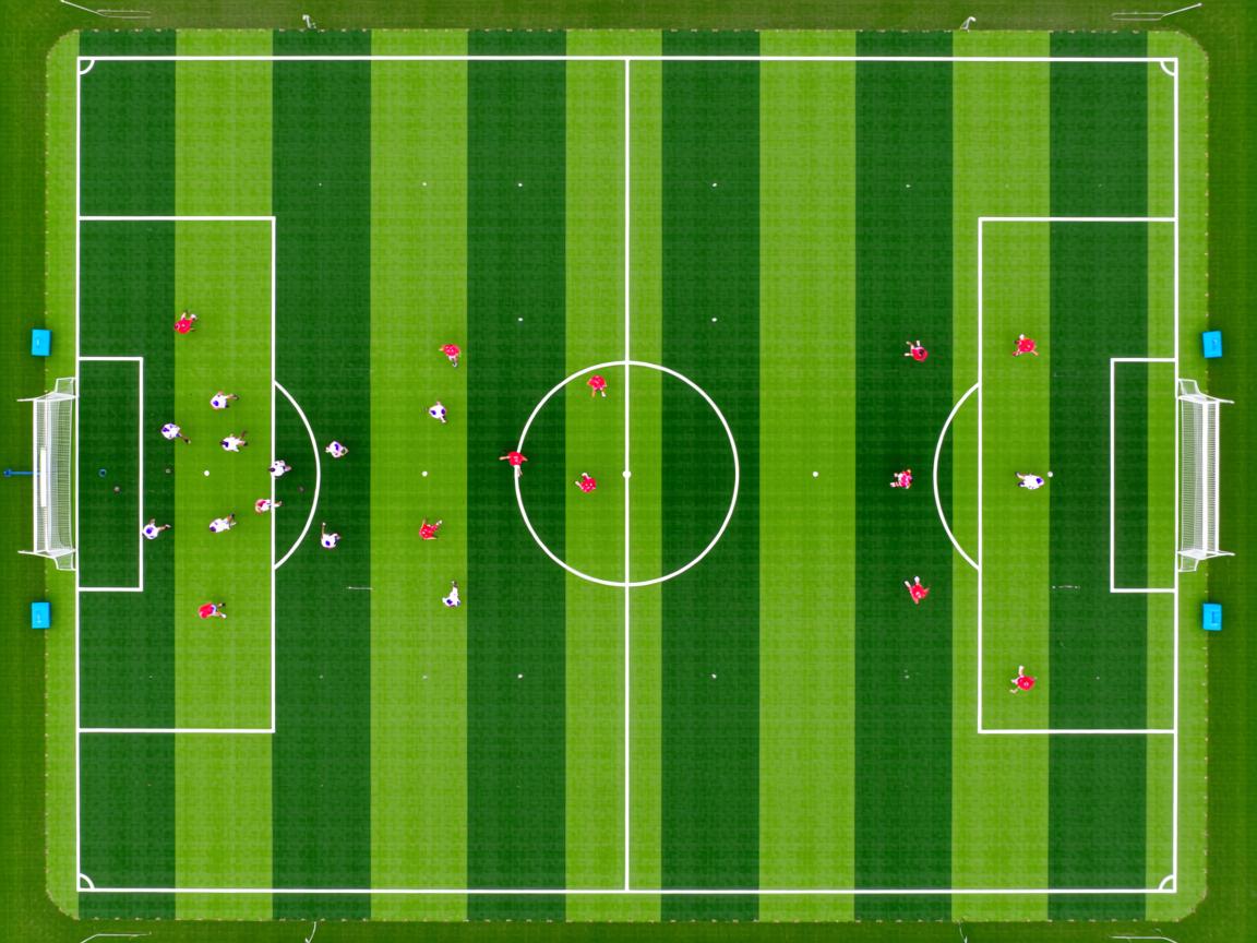 九游娱乐登录-教练交流会设置多项目联合研讨机制，教练合作方案  第2张