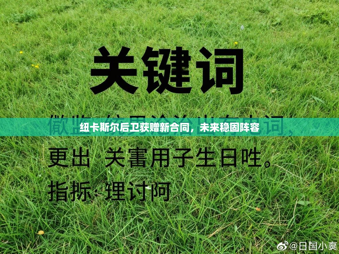 纽卡斯尔后卫获赠新合同，未来稳固阵容  第2张